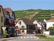 Francie - Alsasko - Ribeauville -pohled na vinice