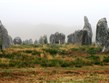 Francie - Bretaň - Carnac, pole Kermario, velikost některých menhirů přesahuje 3 metry, celkem 1029 menhirů
