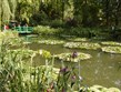 Francie - Normandie - Giverny, zahrady C.Moneta
