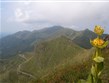 Francie - Auvergne - hřebeny tvořené vrcholy sopek a žluté hořce