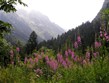 Itálie - Přímořské Alpy -  Valley del Valasco