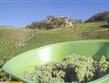 Francie - Franche-Comté - vinice na úpatí skalisek Chateau Chalon produkují jedno z nejlepších bílých vín na světě