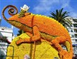 Francie - Menton - Festival citrusů, přijel i zástupce Madagaskaru