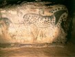 Francie, Quercy, Pech Merle, jeskyně s malbami neolitického člověka