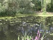 Francie, Pikardie, Arras, arboretum