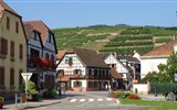 Alsasko - Francie - Alsasko - Ribeauville -pohled na vinice