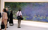 Umění, výstavy a architektura - Francie - Francie - Paříž - Museé de l´Orangerie, Monetovy Lekníny a vnímaví návštěvníci