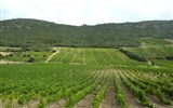 Languedoc - Frtancie - Languedoc - vinice v oblasti Pays Corbiéres-Minervois