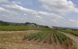 Champagne - Francie - Champagne - vinice se rozkládají na ploše 30.000 ha a roční produkce činí 270 milionů lahví