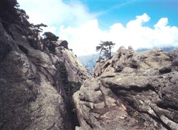 Francie - Korsika -Bavela, skalní věže